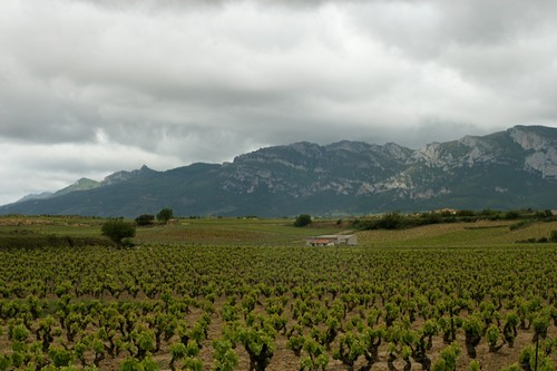Scenery from La Rioja