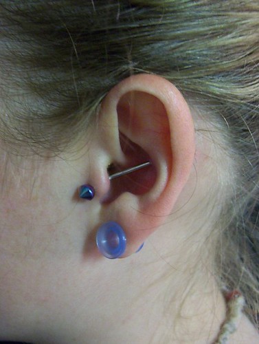  to conch industrial piercing 14g 