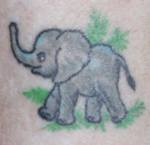  Elephantrazzi fanatic Margaret with a tattoo of baby elephant Elle 