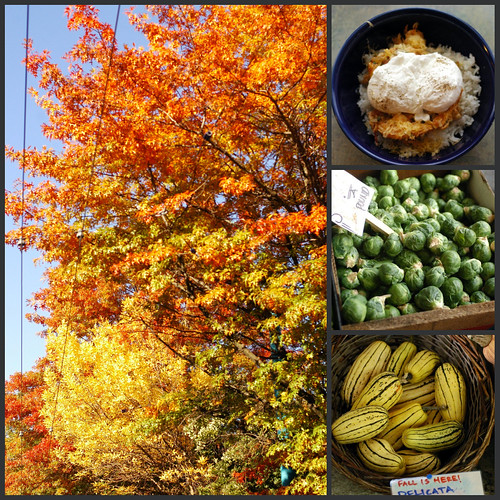 autumn comfort foods