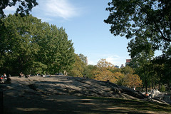 Sunbathing in Central Park