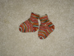 Chanticleer baby socks