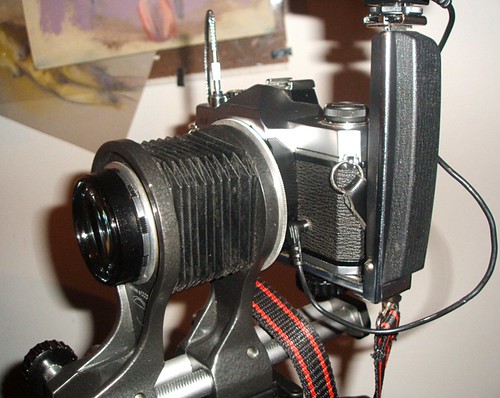 Close-up lens fitted to 35mm SLR