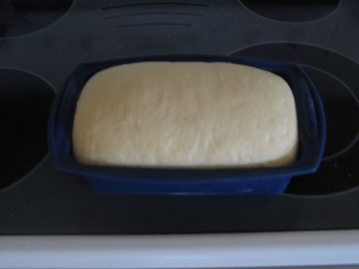 Breadmaking #14: After One Hour