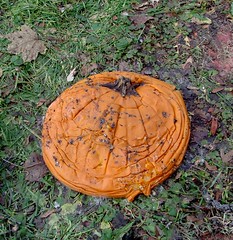 Flat Pumpkin