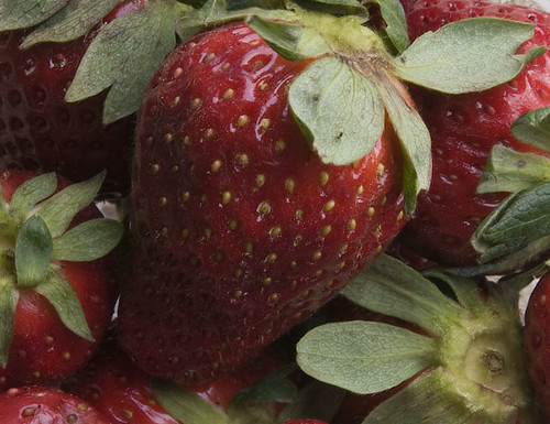 Strawberry, Up Close And Impersonal
