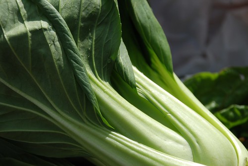 Bok Choy from Market