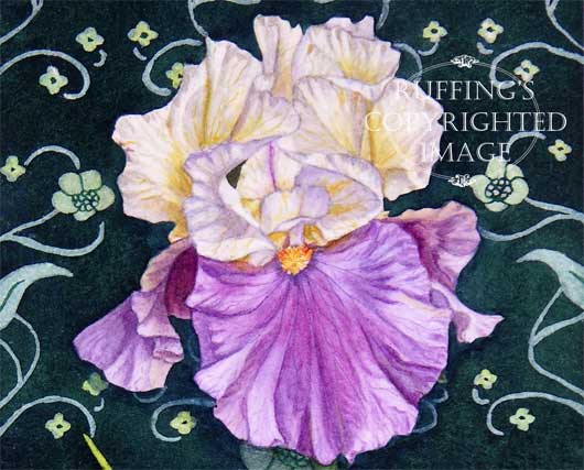 "Cream and Purple Iris on Green" ER32 by Elizabeth Ruffing