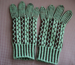 Gloves Front 012108