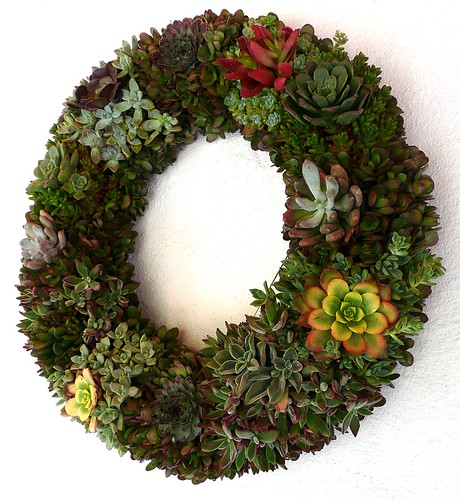 succulent living wreath