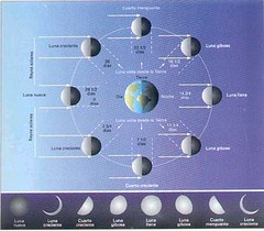 Fases lunares 002