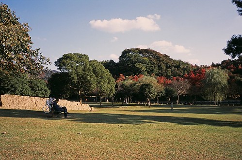 奈良公園-01