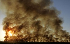 Cane farmers burn off at a cane farm near Sertaozinho