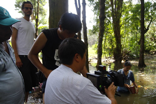 Shooting a scene in the mangrove forest