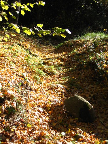 Catifes de fulles omplen els camins de la tardor