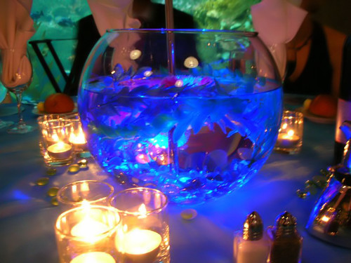 beautiful fishbowl wedding