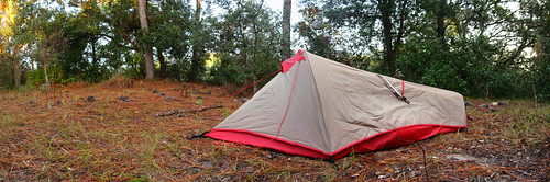 Camping in Homosassa Wildlife Management Area, Florida, USA