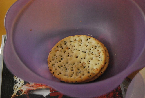 Seedy crackers