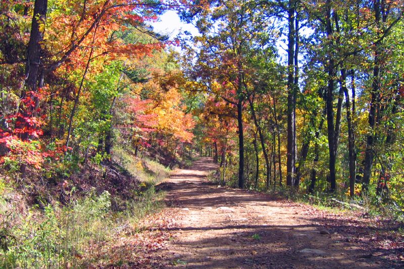 Fall Color near Mena Arkansas