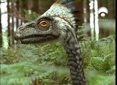 17 Incisivosaurus closeup