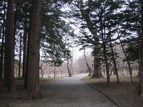 圓山公園很多樹^^