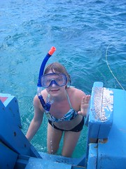Buccoo Reef Snorkling
