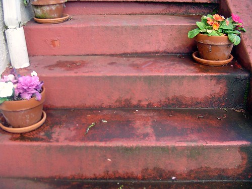 flowers on the stairs