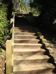 Kelsey Creek Park Stairs