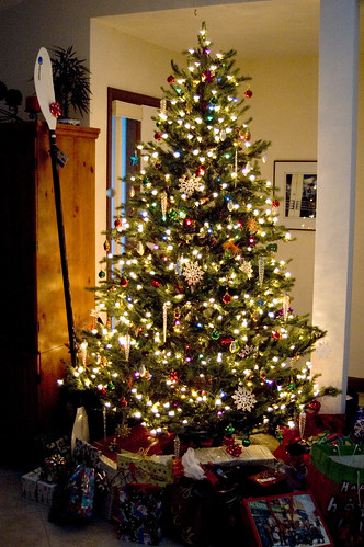 Christmas Tree at Amys