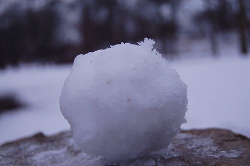 My Snowball Close-Up
