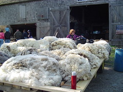 Watson's  Farm table of fresh fleece