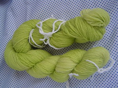 Ravelry Swap BFL Hand Dyed Sock Yarn ~Received~