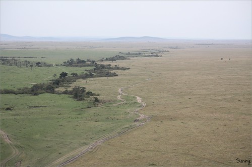 你拍攝的 17 Masai Mara - Balloon Safari。