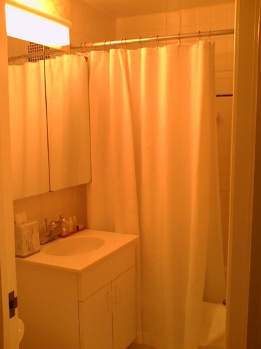 Affinia Manhattan - room 1616 bathroom