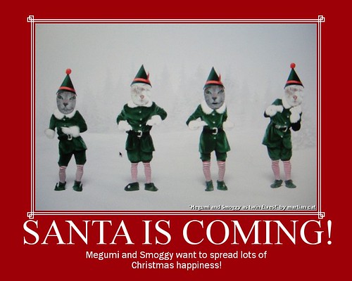 Santa is coming!