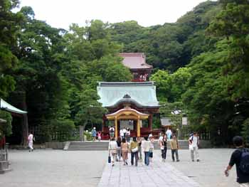 Tsurugaoka Hachiman-gu de Kamakura