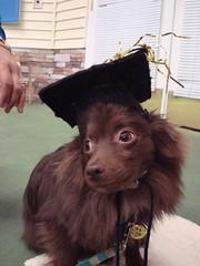 Behold the graduate