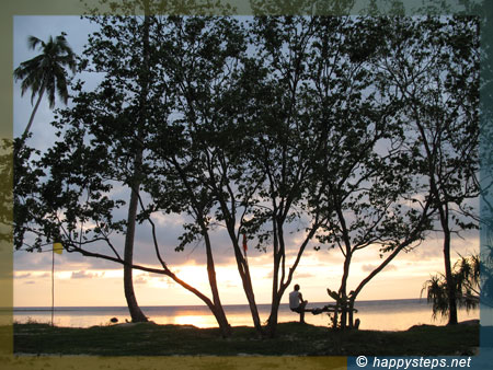 Punta Bulata trees at sunset