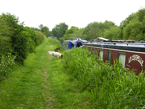 Jez and Max explore the boats along the Oxford Canal at Aynho