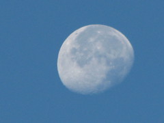 The Moon (duh)