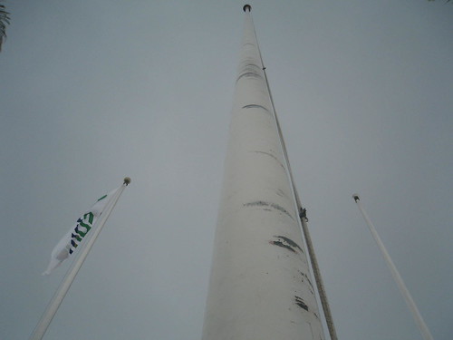 SBMA flag pole