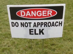 danger do not approach elk sign