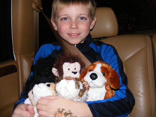 Drew and all of his webkinz