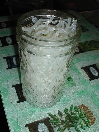Kelp Noodles in Jar