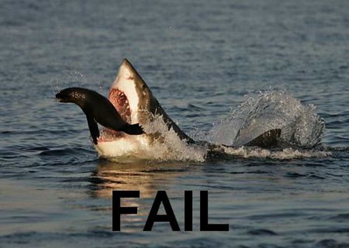 seal fail by Doc Rogers blog 02.