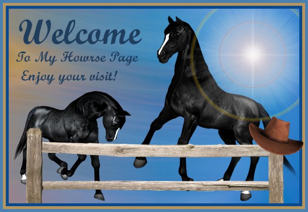 Design by www.horse-lover-layouts.com