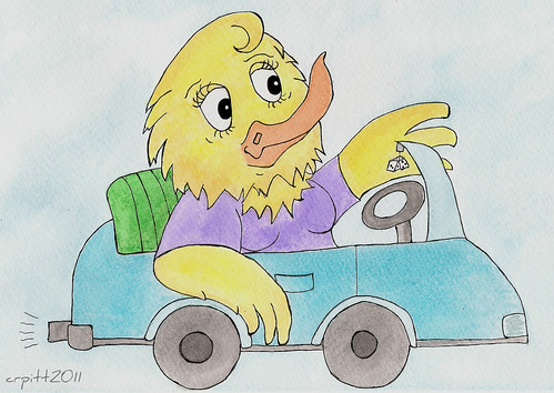 Car driving Duck
