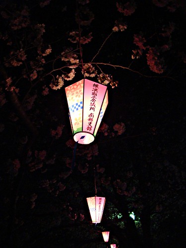 The Cherry Blossom Promenade at night