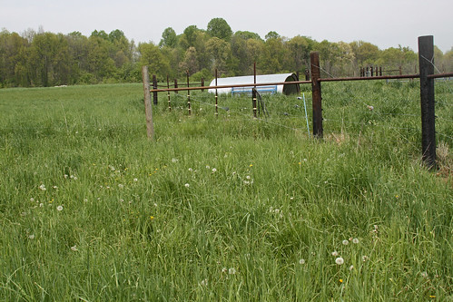 pasture field
