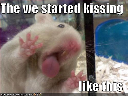 funny-pictures-hamster-kiss-glass